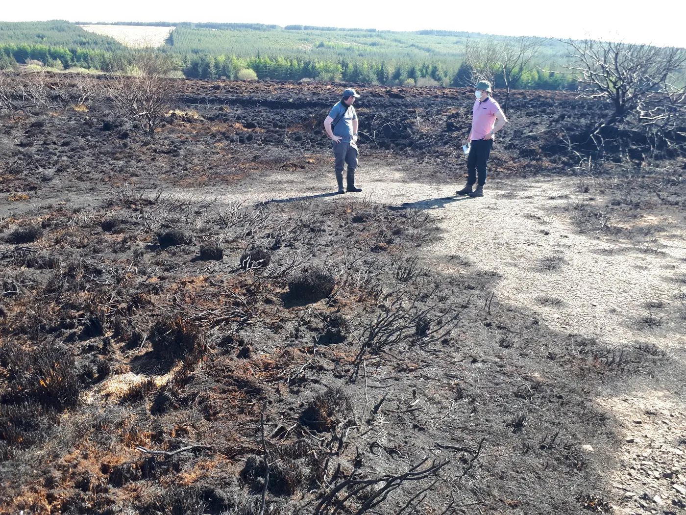 Two team members surveying burnt ground at Glashapullagh after a spring wildfire
