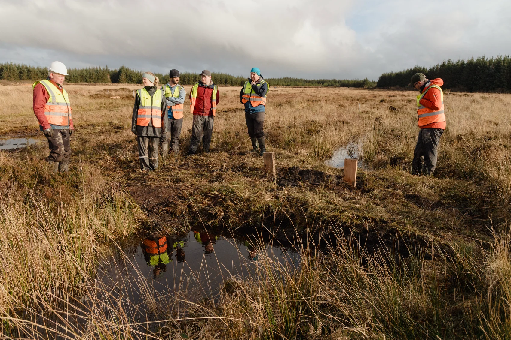 Composite Peat/Timber Dams — 1