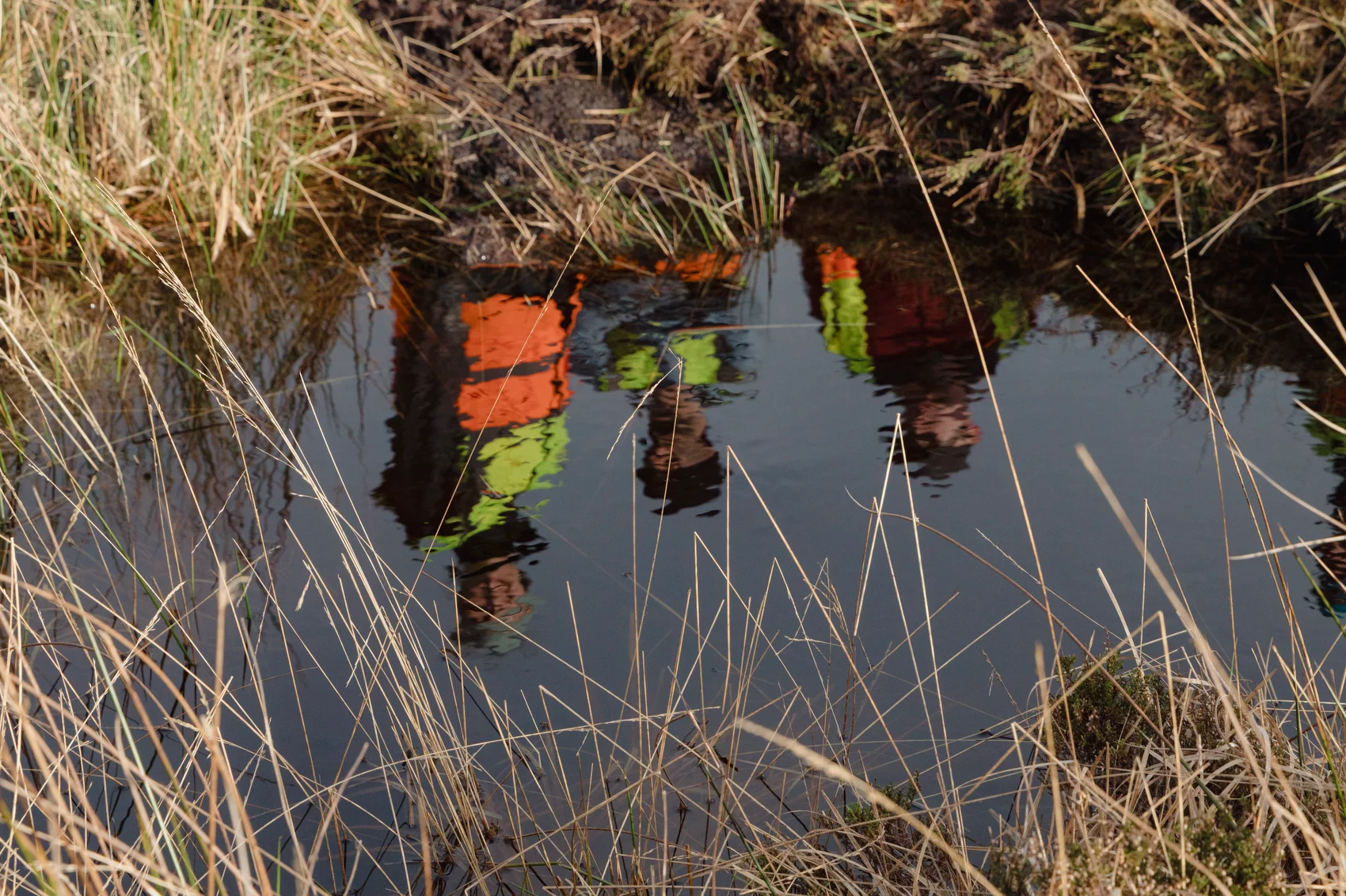 Composite Peat/Timber Dams — 2