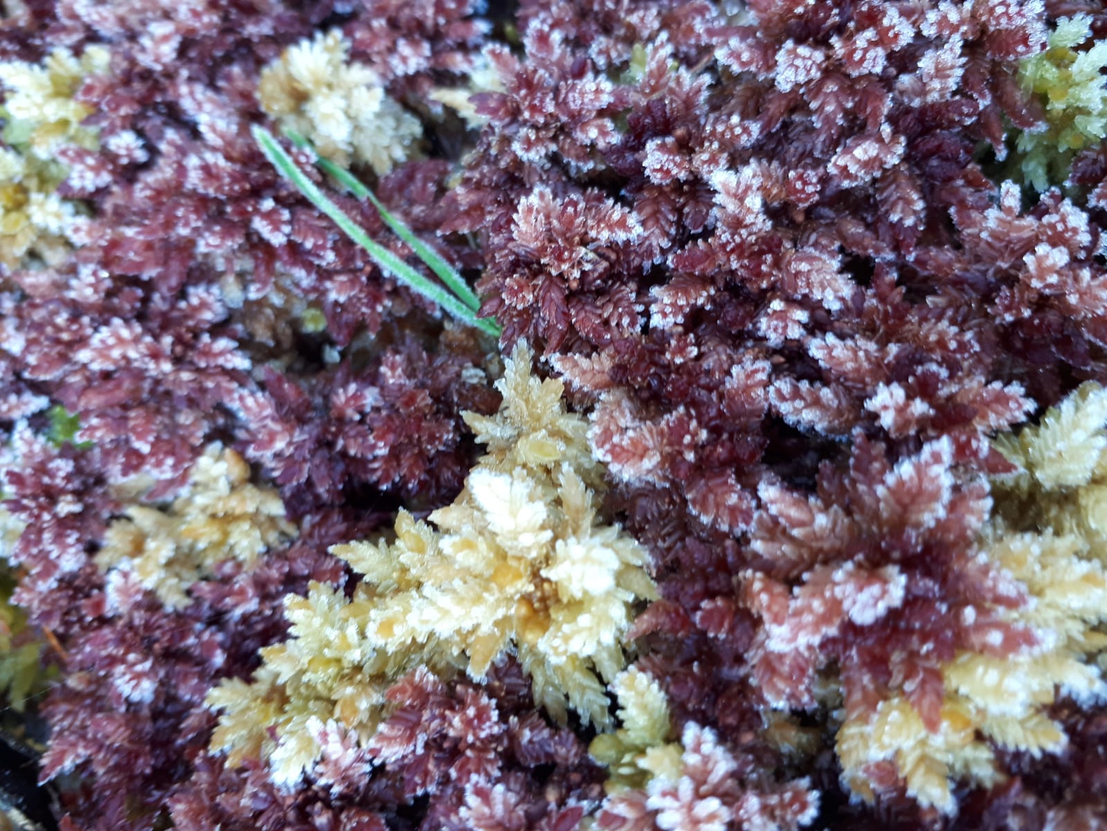 First Signs of Recovery